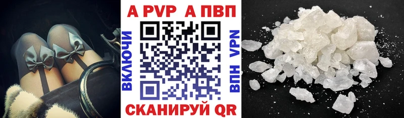 закладки  Нерехта  A PVP СК 