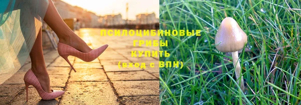 герыч Куйбышев