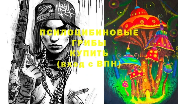 молекула духа Кулебаки