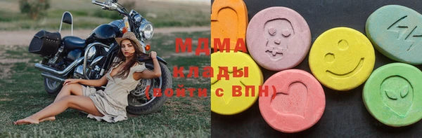 молекула духа Кулебаки