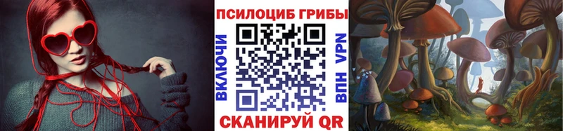 Псилоцибиновые грибы Psilocybe  купить закладку  Нерехта 